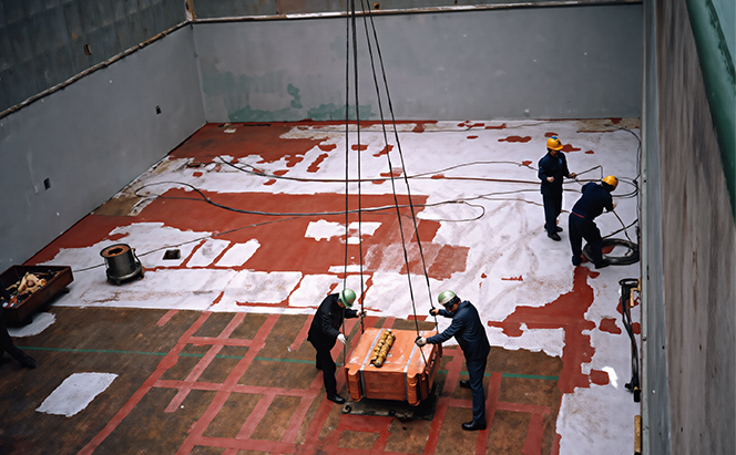 Bulk cargo logistics